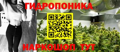 apvp Донской
