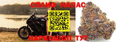 apvp Донской