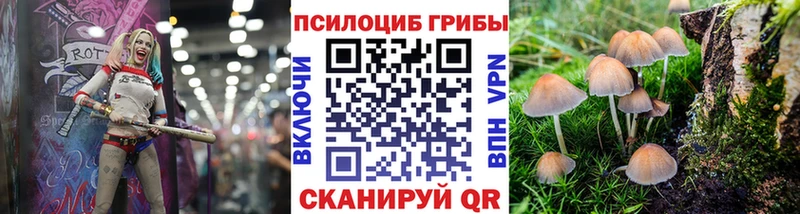Галлюциногенные грибы ЛСД  Курск 