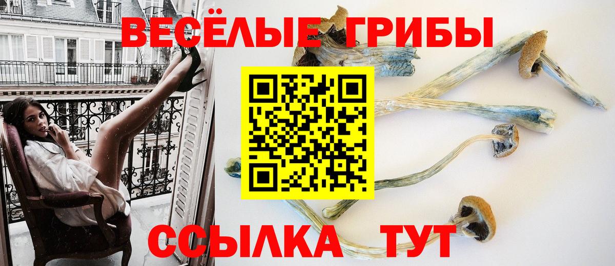 Псилоцибиновые грибы мухоморы Курск