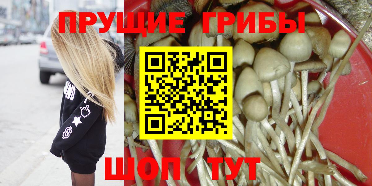 Галлюциногенные грибы прущие грибы Курск
