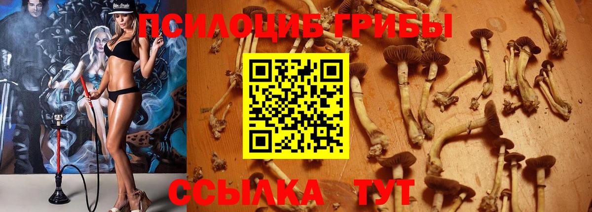 Каннабис  LSD-25  Курск  Меф МЯУ МЯУ   КОКАИН  APVP СОЛЬ   ГАШИШ 