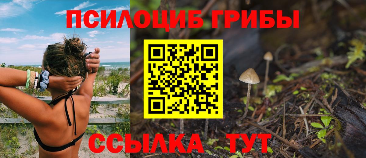 Курск  Галлюциногенные грибы прущие грибы  Псилоцибиновые грибы Psilocybe  Вход с VPN 